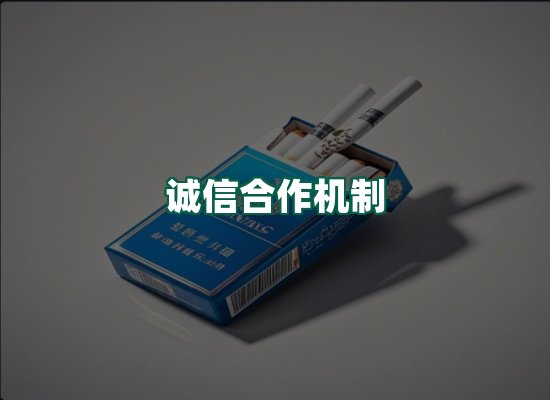 核心优势
